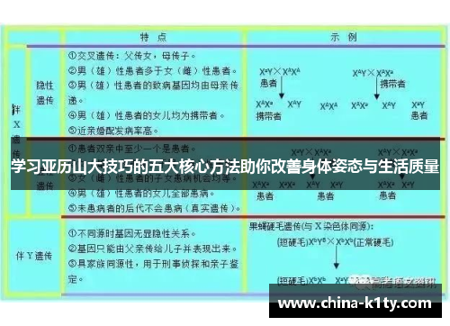 学习亚历山大技巧的五大核心方法助你改善身体姿态与生活质量
