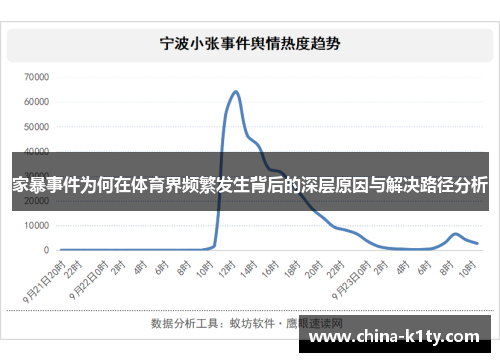 家暴事件为何在体育界频繁发生背后的深层原因与解决路径分析