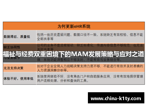 福祉与经费双重困境下的MAM发展策略与应对之道