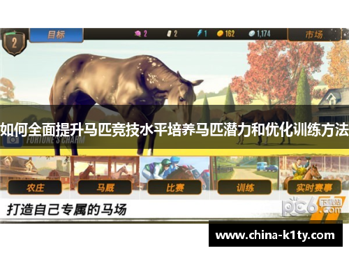 如何全面提升马匹竞技水平培养马匹潜力和优化训练方法