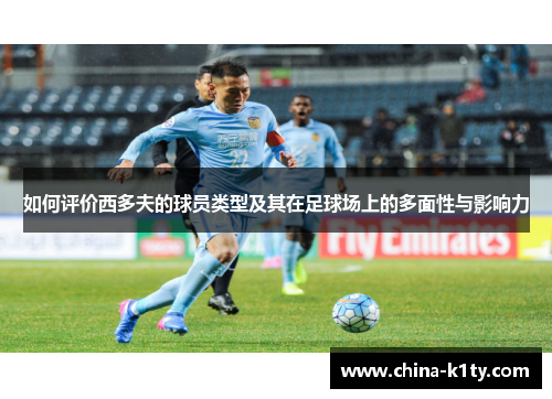 如何评价西多夫的球员类型及其在足球场上的多面性与影响力